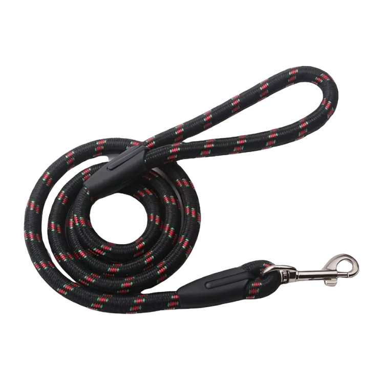 Braided Dog Walking Leash from Pet City Shop – Durable and stylish leash for dogs