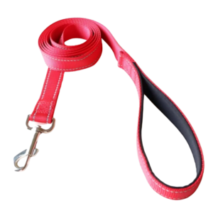 Reflective Nylon Dog Leash with Soft Padded Handle from Pet City Shop