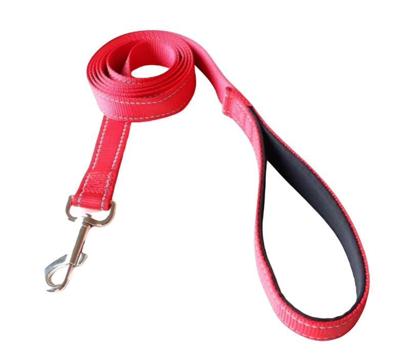 Reflective Nylon Dog Leash with Soft Padded Handle - Pet City Shop