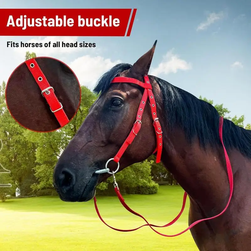 Adjustable Nylon Horse Bridle with Snaffle Noseband & Reins – Soft-Lined Equestrian Gear for Trail Riding (Unisex) - الصورة 4