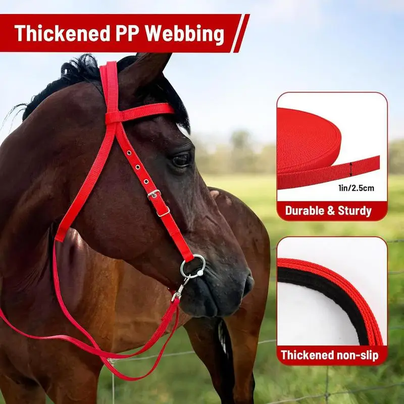 Adjustable Nylon Horse Bridle with Snaffle Noseband & Reins – Soft-Lined Equestrian Gear for Trail Riding (Unisex) - الصورة 3