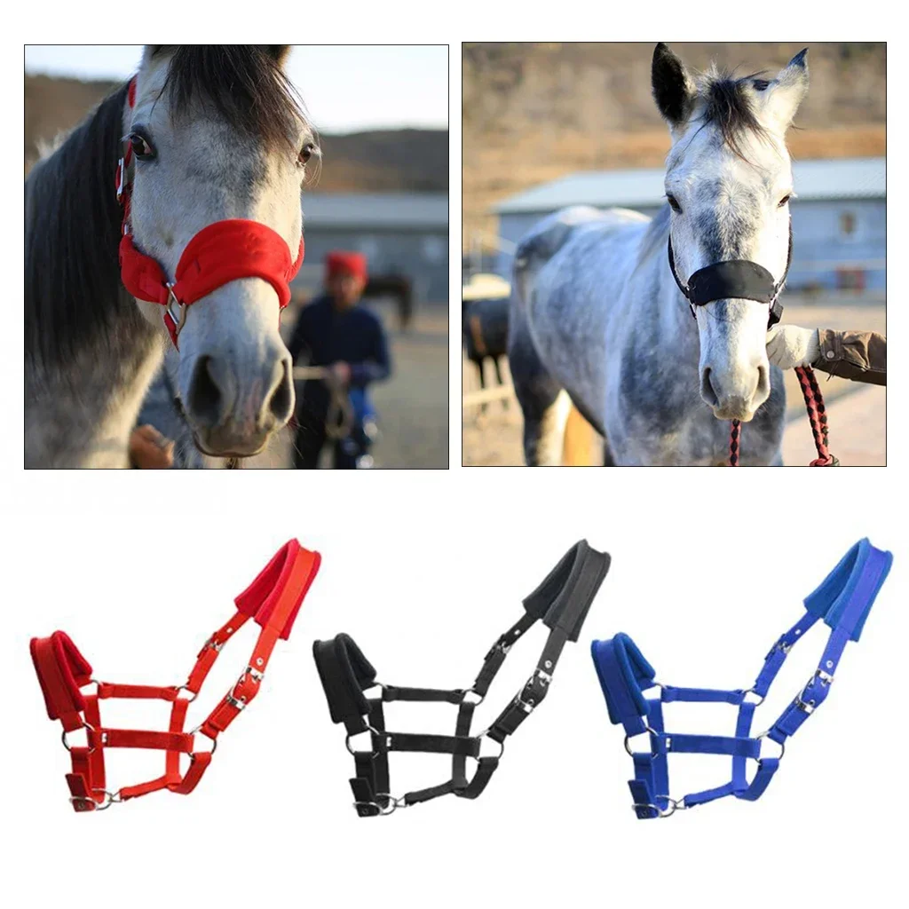 Soft Padded Pony Horse Halter & Bridle Headstall – Comfortable Head Collar for Riding & Stable Use | Western Accessories - الصورة 2