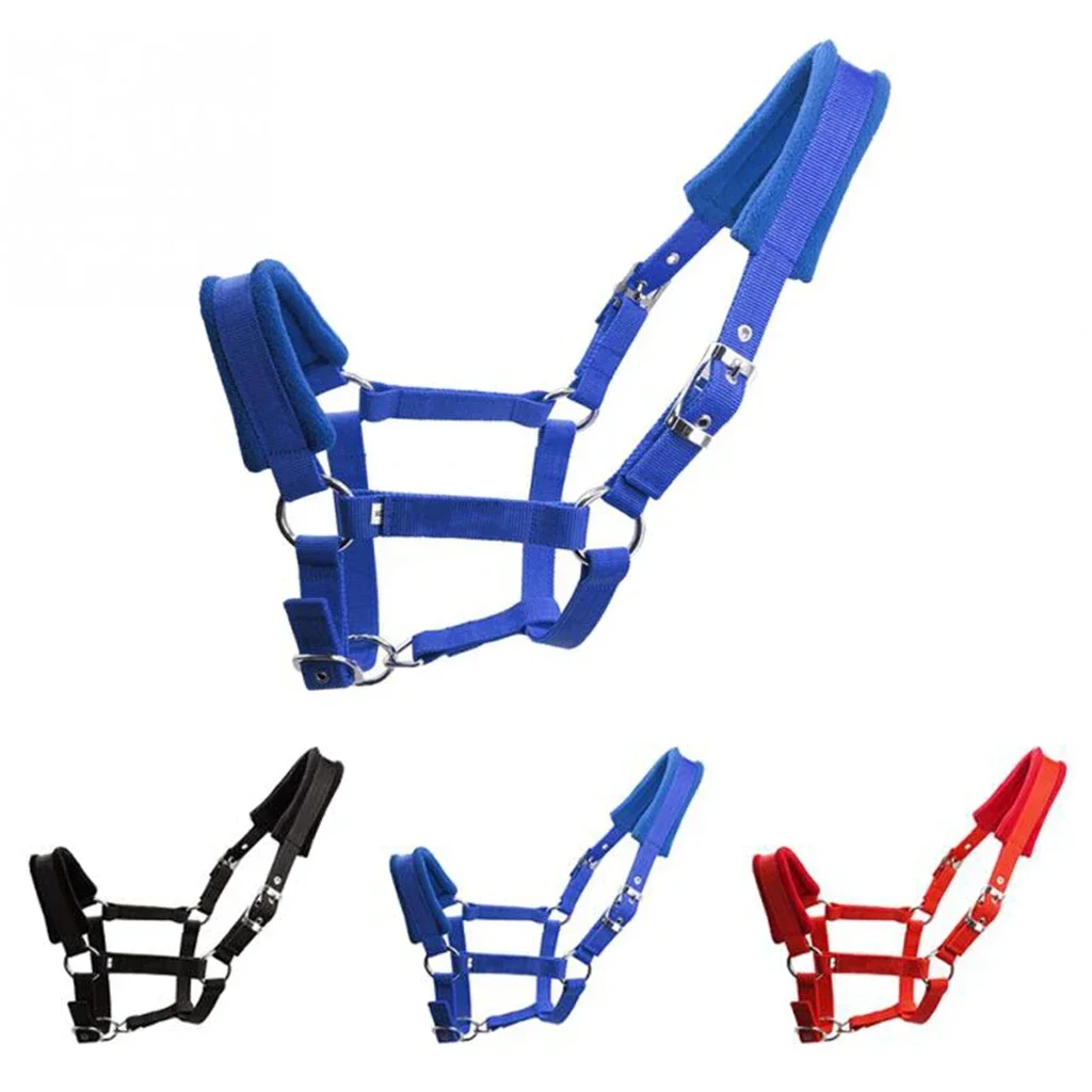 Soft Padded Pony Horse Halter & Bridle Headstall – Comfortable Head Collar for Riding & Stable Use | Western Accessories - الصورة 5