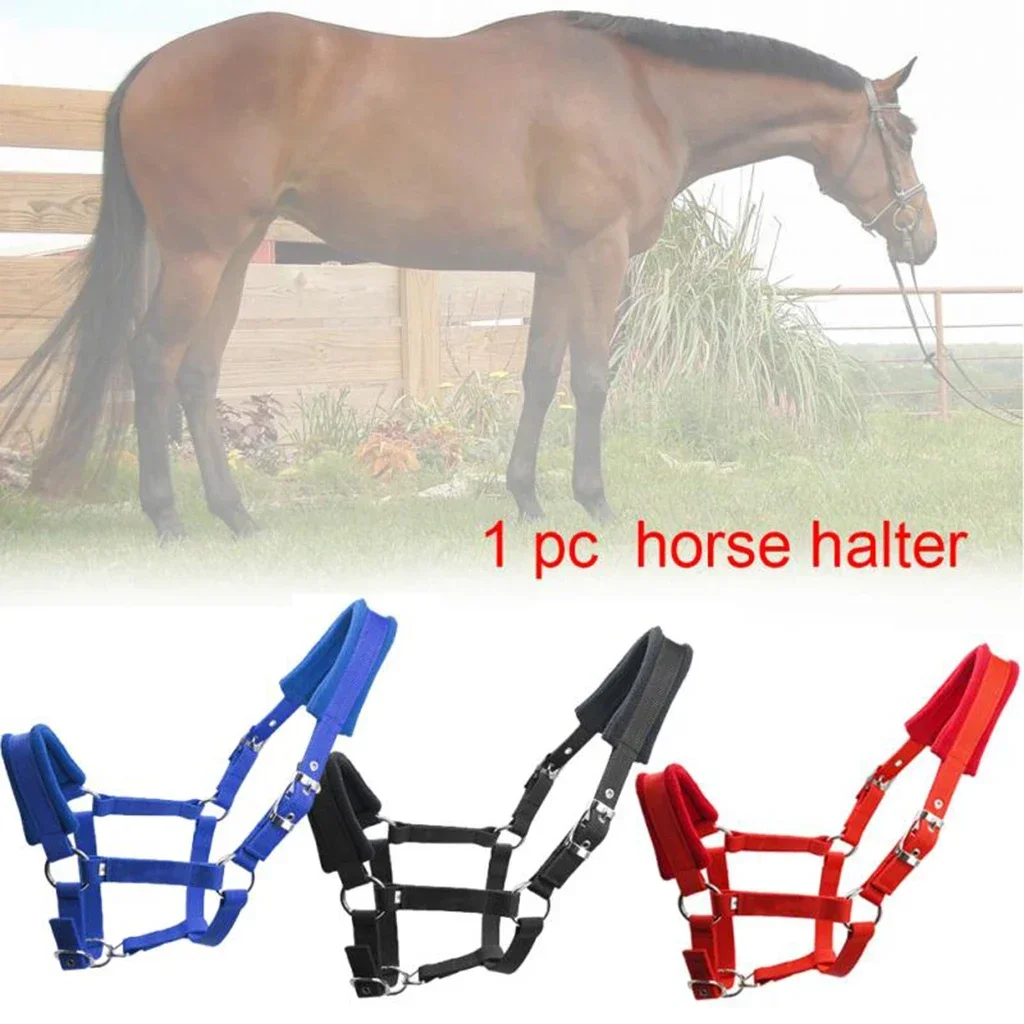 Soft Padded Pony Horse Halter & Bridle Headstall – Comfortable Head Collar for Riding & Stable Use | Western Accessories - الصورة 3