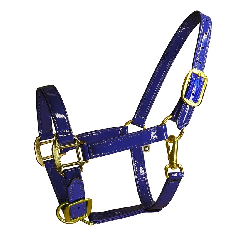 New Adjustable Horse Halter – Microfiber Leather Bridle Head Collar | Equestrian Equipment for Stable & Training Use - الصورة 4