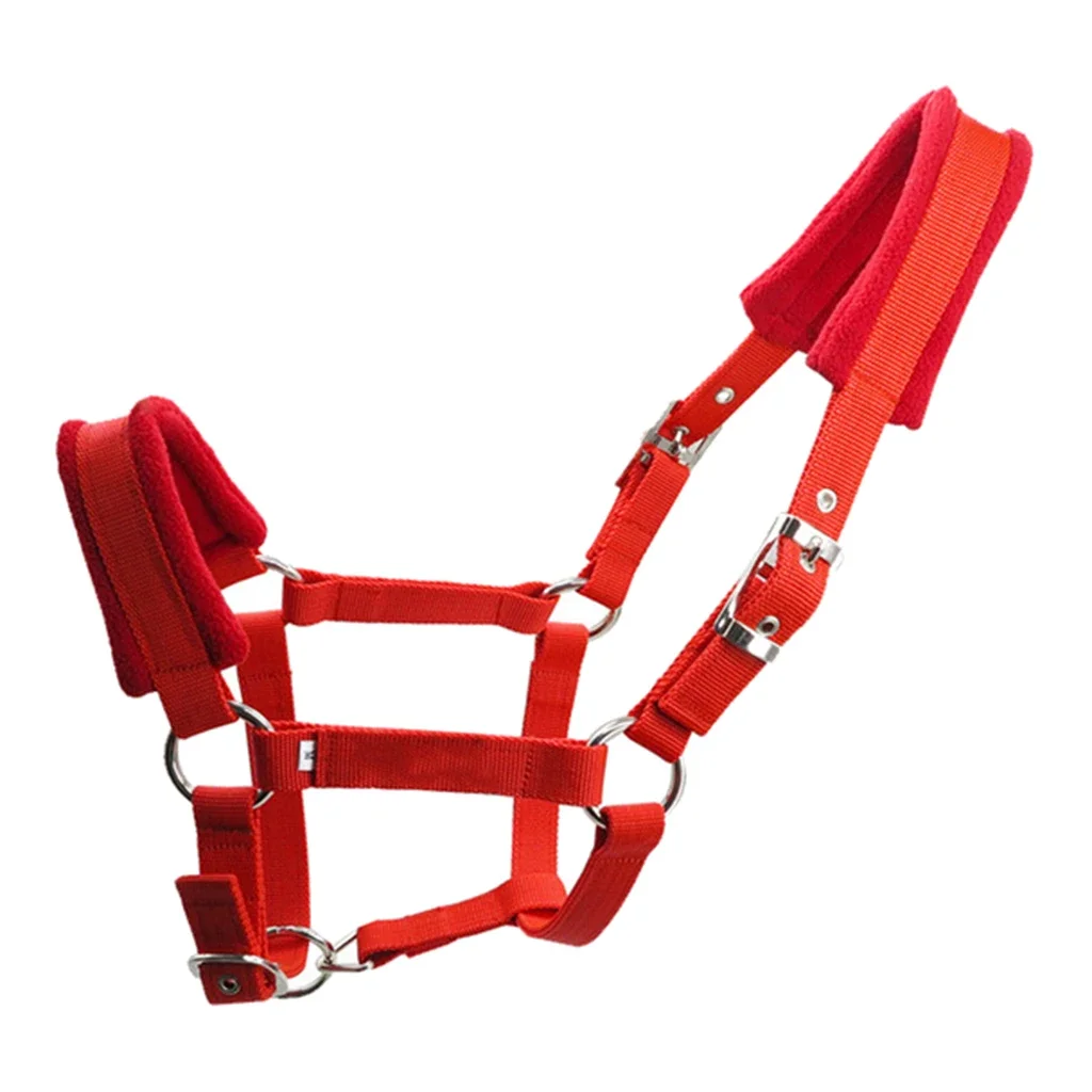 Soft Padded Pony Horse Halter & Bridle Headstall – Comfortable Head Collar for Riding & Stable Use | Western Accessories - الصورة 7