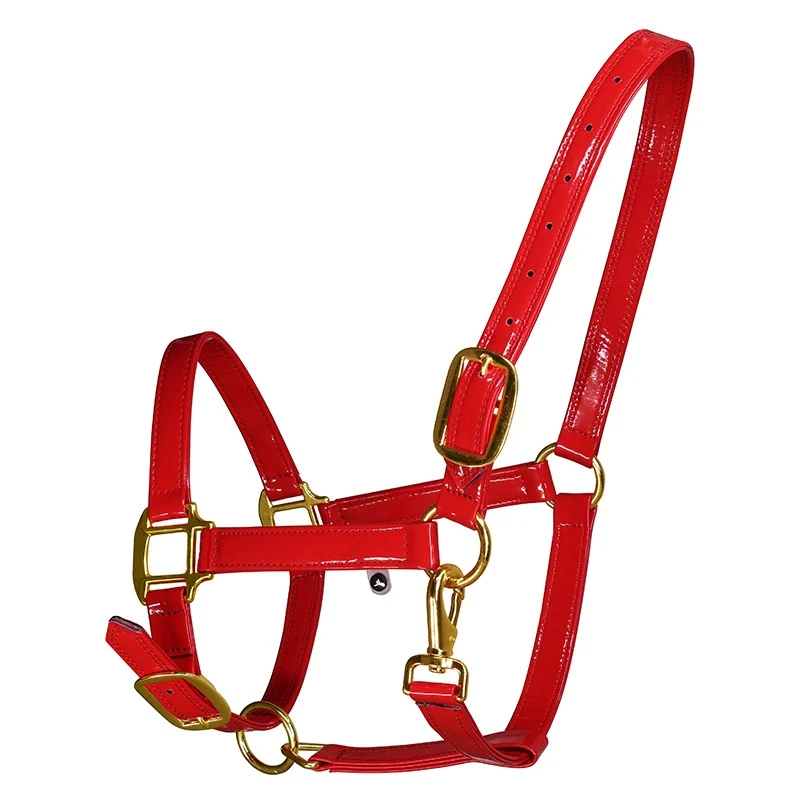 New Adjustable Horse Halter – Microfiber Leather Bridle Head Collar | Equestrian Equipment for Stable & Training Use - الصورة 2