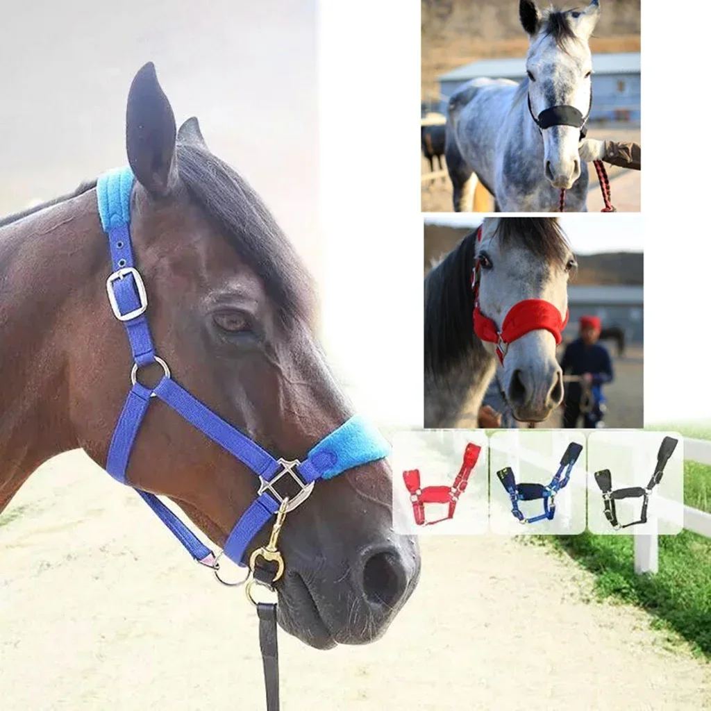 Soft Padded Pony Horse Halter & Bridle Headstall – Comfortable Head Collar for Riding & Stable Use | Western Accessories