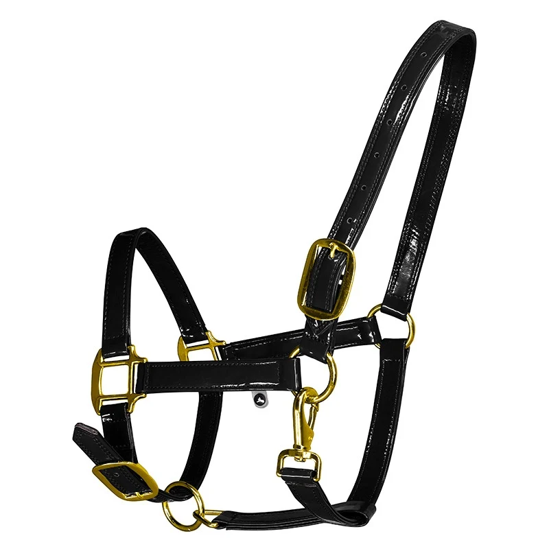 New Adjustable Horse Halter – Microfiber Leather Bridle Head Collar | Equestrian Equipment for Stable & Training Use - الصورة 3